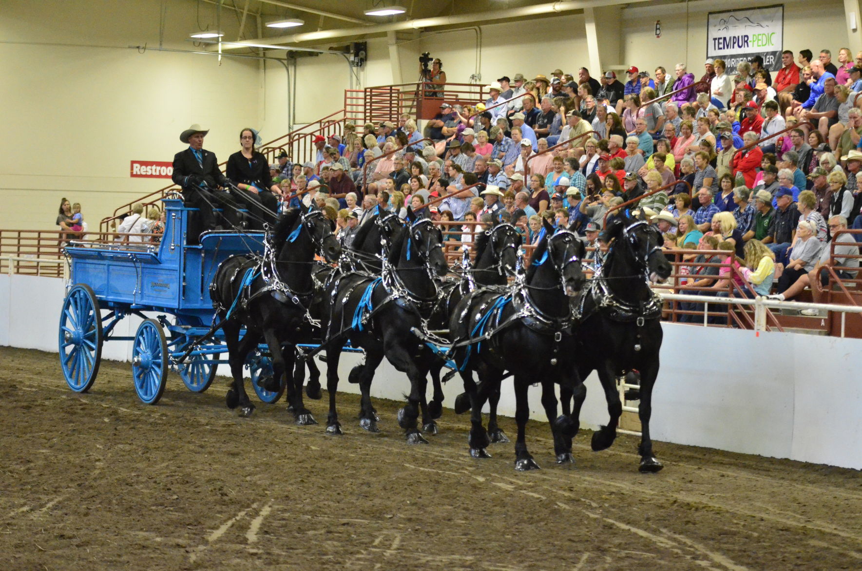 8-25-19 Draft Horse Hitch Final (102).JPG